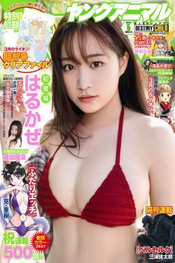 安雅萍